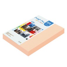 paperculture Print Pro 薄彩色影印紙 No 26 桃色 120g, 220個