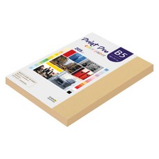 paperculture Print Pro 厚磅彩色影印紙 No 04 米黃色 205g, 66個, B5