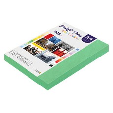 paperculture Print Pro 厚磅彩色影印紙 No 11 深綠色 205g, 100個, A4