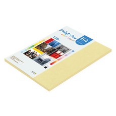 paperculture Print Pro 薄彩色影印紙 No 05 黃色 120g, 55個