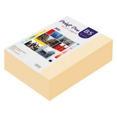 paperculture Print Pro 厚磅彩色影印紙 No 02 象牙白 205g, B5, 264個