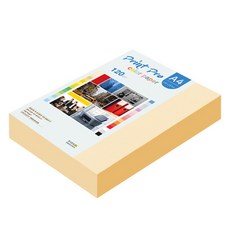 paperculture Print Pro 薄款彩色影印紙 No 02 象牙白 120g, 320個