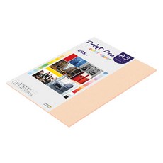 종이문화 프린트프로 두꺼운 칼라복사지 26 피치 205g, A3, 12개