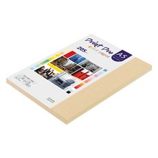 종이문화 프린트프로 두꺼운 칼라복사지 03 베이지 205g, A5, 48개