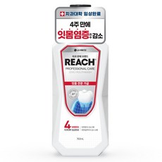 리치 프로페셔널 잇몸 전문 제로 구강청결제, 760ml, 1개