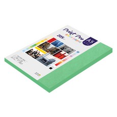 종이문화 프린트프로 두꺼운 칼라복사지 11 딥그린 205g, A5, 48개