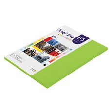 paperculture Print Pro 厚磅彩色列印紙 10 鮮綠色 205g, B5, 32個