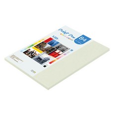 paperculture Print Pro 薄彩色影印紙 No 18 淺灰色, B4, 55個