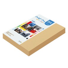 paperculture Print Pro 薄型彩色影印紙 No 4 淺黃色, B4, 220個