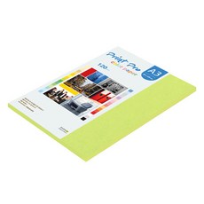 paperculture Print Pro 薄型彩色影印紙 No. 9 亮綠色, 40個, A3