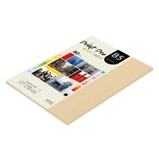 종이문화 프린트프로 얇은 칼라복사지 No 3 베이지 80g, B5, 85개
