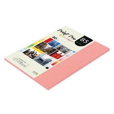 종이문화 프린트프로 얇은 칼라복사지 No 25 새몬 80g, B5, 85개