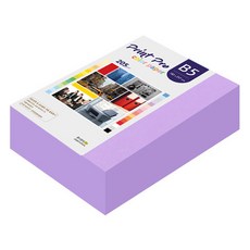 paperculture Print Pro 厚磅彩色影印紙 No 21 紫色 205g, B5, 264個