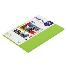 종이문화 프린트프로 두꺼운 칼라복사지 No 10 후레쉬그린 205g, B4, 33개