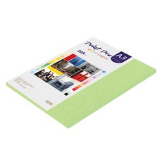 종이문화 프린트프로 두꺼운 칼라복사지 No 12 그린 205g, A3, 25개
