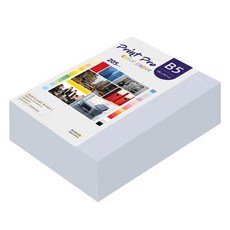 paperculture Print Pro 厚磅彩色影印紙 No 19 迷霧藍 205g, B5, 264個