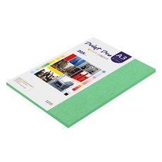 종이문화 프린트프로 두꺼운 칼라복사지 No 11 딥그린 205g, 25개, A3