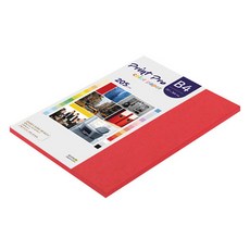 paperculture Print Pro 厚磅彩色影印紙 No 29 紅色 205g, B4, 33個