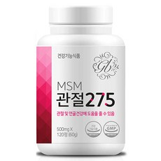 Gb MSM保健錠, 120顆, 1罐