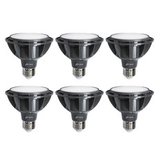 DOOYOUNG LED燈泡 PAR30 燈具 擴散型 15W, 晝光色, 6個