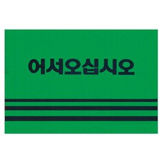 World Clean 防滑歡迎光臨地毯地墊, 綠色, 1個