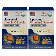 리포조말 비타민C 스페셜 48g, 2개, 60정