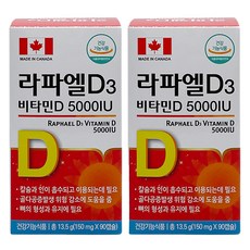 라파엘D3 비타민D 5000IU 13.5g, 2개, 90정