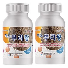 이노 뿌리왕 뿌리 발근 활력 비대 활착 식물영양제, 2개