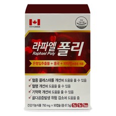 라파엘 폴리 은행잎추출물 + 홍국 + 비타민 보충용 제품, 1개, 90정