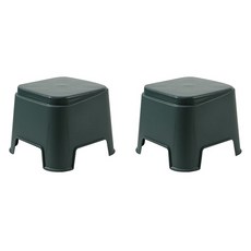 데이소이 컬러드 사각 스툴 욕실 의자 2p, 03 그린