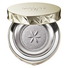 Decorte AQ 眼影, 10 閃耀銀, 1個