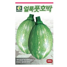 다농 얼룩 풋호박 씨앗 30p, 1개
