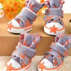 코코스튜디오 강아지 스타 운동화, 오렌지, 1세트