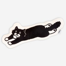 닥터펠리스 고양이 캣닢쿠션 L, 화이트, 1개