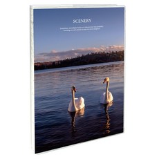Recoz A5 風景照片方格筆記本 + PVC封套組, 1套, 02 天鵝(筆記本)