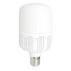 Meliving LED DO 工廠保全燈 T型燈泡 30W, 燈泡色, 1個