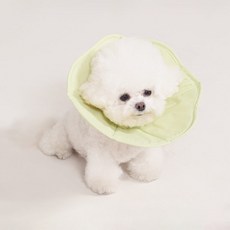 Mingle Pet 超輕量防水頸圈, 綠色, 1個