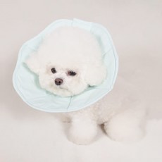 Mingle Pet 超輕量防水頸圈, 藍色, 1個