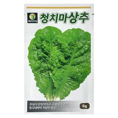 다농 상록 청치마 상추 씨앗 6g, 1개 1개