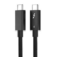 라온디지털 썬더볼트4 C타입 PD 100W 40Gbps 8K 동축케이블, 블랙, 1개, 2m
