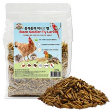 펫츠핸들러 동애등에 피닉스웜, 450g, 1개