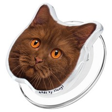 쏭스 맥세이프 탈부착 체인지 스마트톡, 캣03, 1개