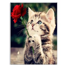 엔픽아트 캔버스형 보석십자수 40 x 50 cm MK081, MK081 장미꽃 고양이, 1개