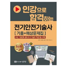 線上課程合格 電氣安全技術士 歷屆試題 + 預測試題集, 成安堂