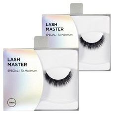THE FACE SHOP 菲詩小舖 Daily Lash Master 人造假睫毛 10號, 2個