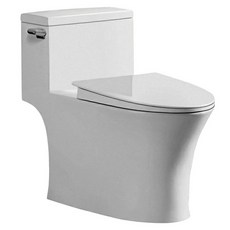 두진 하이탱크 일체형 원피스 양변기 치마형 6650 방문설치, 화이트