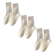 소니오 여성용 파스텔 데이 패션 양말 3켤레 세트