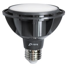 두영 PAR30 확산형 LED 램프 15W F 65K-22, 1개, 주광색