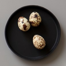 에이드엘 써클 실리콘 트레이, 블랙, 1개