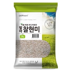 대구농산 건강한밥상 발아찰현미, 2kg, 1개